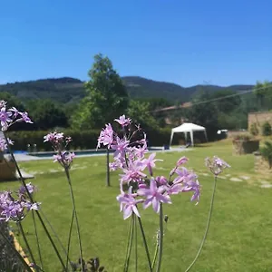Alba Morus Sentiti A Casa Nel Cuo Bed & Breakfast