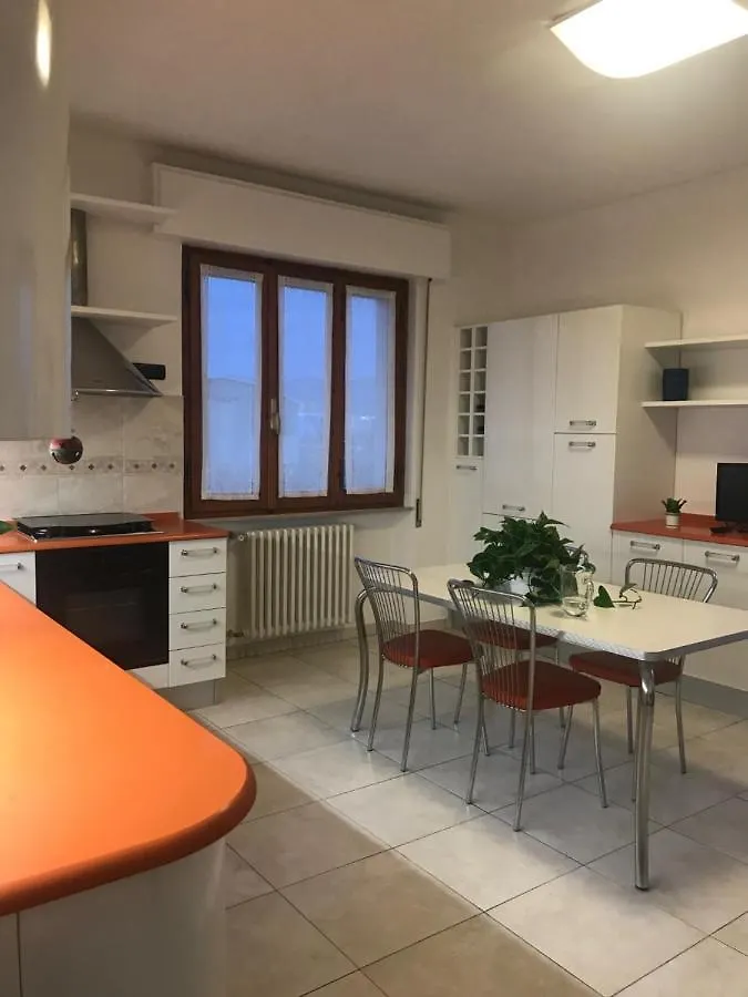Mgm Home Arezzo contacts